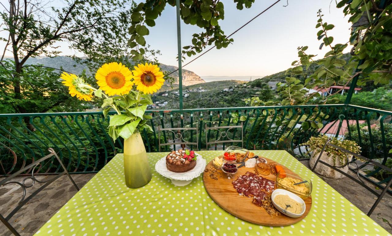 Villa Blanka Zrnovnica Экстерьер фото